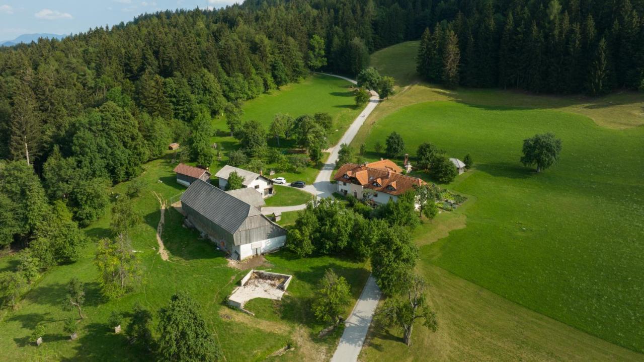 Eco Tourist Farm Ravnjak Slovenj Gradec Ngoại thất bức ảnh