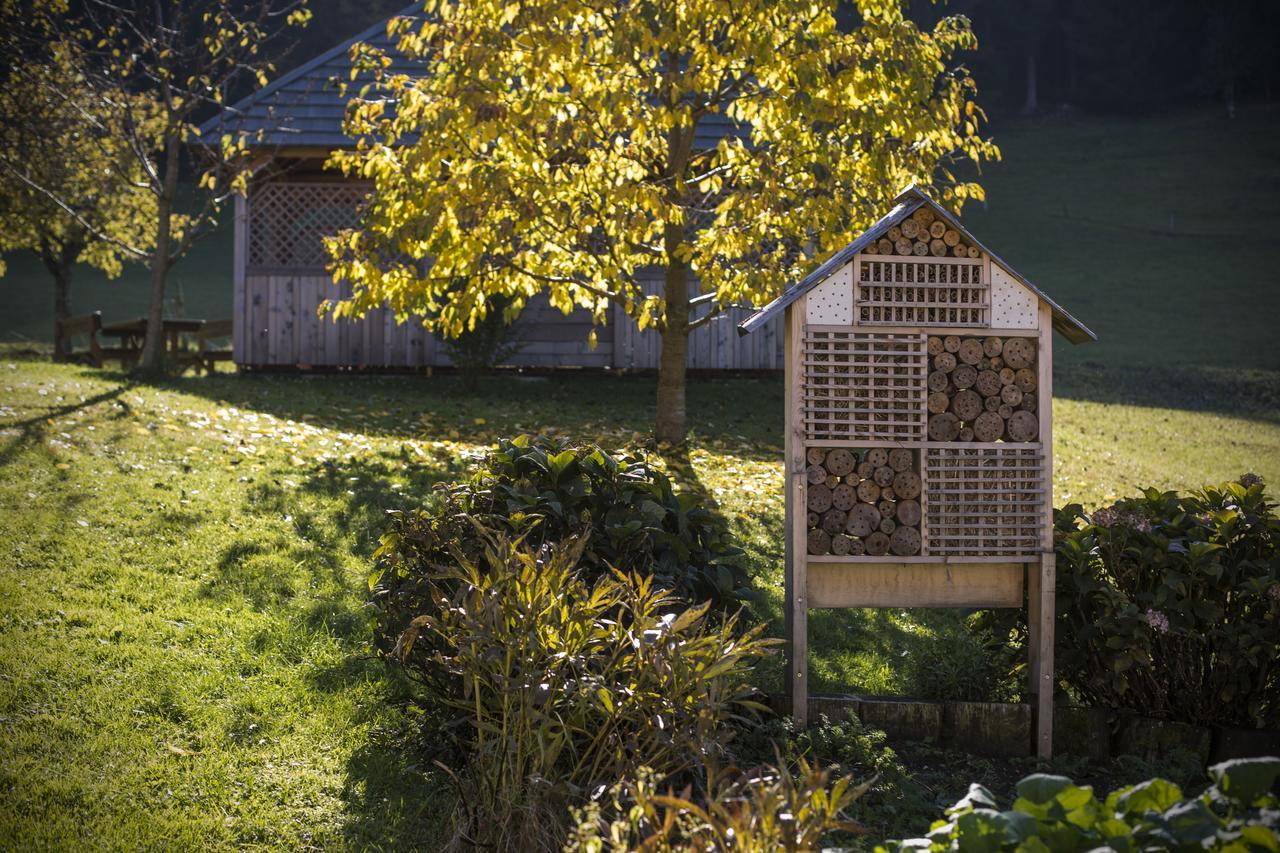 Eco Tourist Farm Ravnjak Slovenj Gradec Ngoại thất bức ảnh